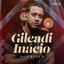 Amor a Primeira Vista cover