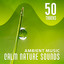 50 Tracks: Ambient Music, Calm Nature Sounds: Therapy Session - Serenity Instrumental New Age with Falling Rain, Relaxing Ocean Waves, Birds & Forest cover