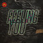 Feeling You feat. Lee Triffon