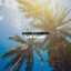 . - BEAT SUMMER - Summer ID04