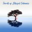 Secrets of Blissful Calmness – Pure Relaxation, Stress Relief, Calm Down cover