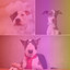 Fantastic Music for Happy Pups - Trumpet Jazz cover