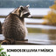 Unknown Title cover