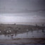 A Stormy Day on the Beach cover