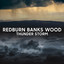 Redburn Banks Wood Thunderstorm cover