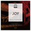 Joy - Tom Alemanno & Divalvi Remix