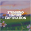 Stunning Nature Captivation cover
