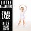Swan Lake, Op. 20: No. 5, The Black Swan Pas de Deux: II. Andante cover