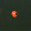 XOUR3333 profile