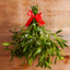 under the mistletoe cover