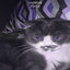 Chita