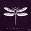 Dragon Fly