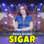 Sigar cover