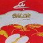 Halkay cover