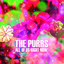 The Purrs - Before The Sun Goes Down