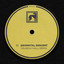 Deorbital Descent - Yaleesa Hall Remix