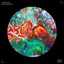 Acid at Midnight