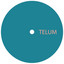 TELUM — Untitled B1 cover art