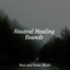 Neutral Healing Sounds cover
