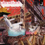 Non Zero Sumness Plus One cover