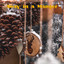 Away in a Manger cover