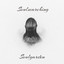 Soulsearching cover