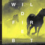 Wildfire - Sean Tyas Extended Remix