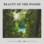 Beauty of the Woods cover