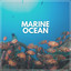 Marine Ocean cover