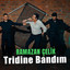 Tridine Bandım cover