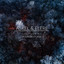 Last Leaves artwork