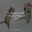 50 Sleep Sounds For Cats | Yoga and Spa cover