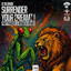Surrender Your Dreamz ! - Partyraiser & Rosbeek Remix