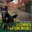 Unknown Title cover