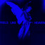 Loods, Kettama, Camden Cox - Feels Like Heaven