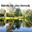Sounds of Nature: Birds by the Creek cover