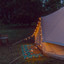 Dan Chen - Q Weekends ID 1 - .
