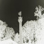 Pitchforks (Duke University) - Retrograde