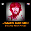 James Gadson - Swamp Town Fever