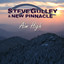 Steve Gulley & New Pinnacle - Not Now