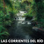 Las Corrientes Del Río: Sonidos Calmantes Del Agua Para Sentirse Bien Y Relajado cover