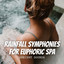 Ambient Sounds: Rainfall Symphonies for Euphoric Spa cover