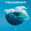 Wellerman - Orchestral Version
