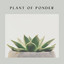 Plant of Ponder cover