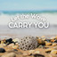 Let the Wave Carry You cover