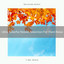 Ultra Colorful Noises Selection For Hard Relax cover