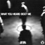 What You Heard Bout Me - Extended Mix