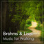 Music for Walking: Brahms & Liszt cover