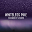 Whiteless Pike Thunder Storm cover
