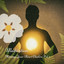 Meditation: Healing Your Heart Chakra Vol. 1 cover